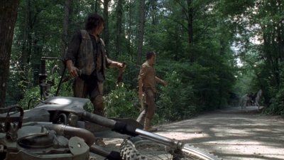 twd0904-2080.jpg