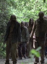 twd0904-2074.jpg