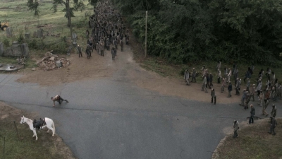 twd905_0092.jpg