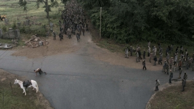 twd905_0093.jpg