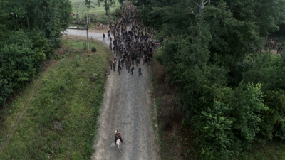 twd905_0112.jpg