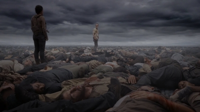 twd905_1491.jpg