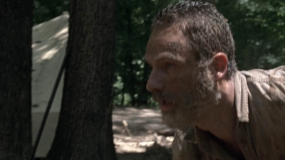 twd905_1609.jpg