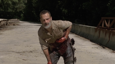 twd905_1869.jpg