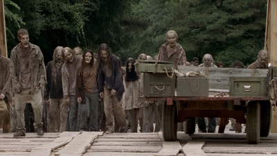 twd905_1873.jpg