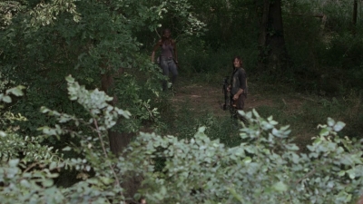 twd905_1912.jpg