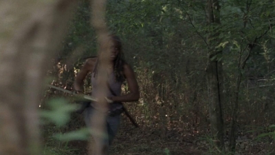 twd905_1983.jpg