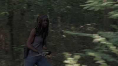 twd905_1984.jpg