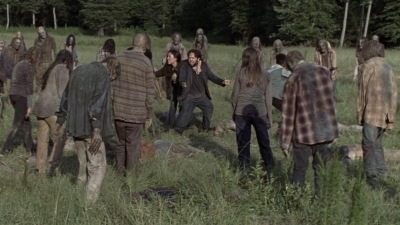 twd905_2243.jpg