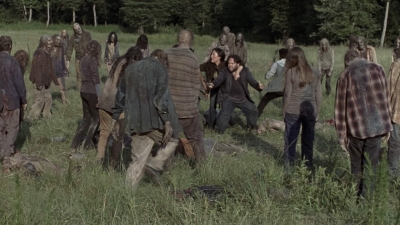 twd905_2244.jpg