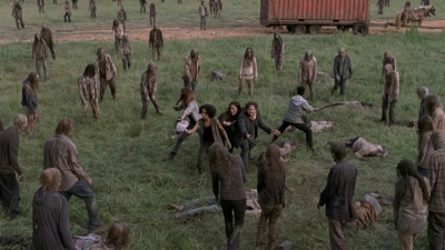 twd905_2247.jpg