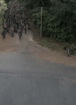 twd905_0092.jpg