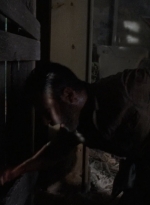 twd905_0587.jpg