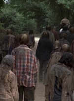 twd905_1159.jpg