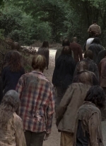 twd905_1160.jpg