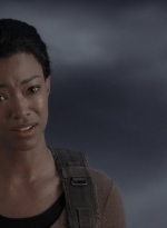 twd905_1500.jpg