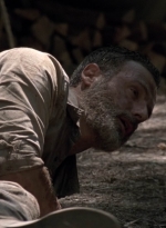 twd905_1597.jpg