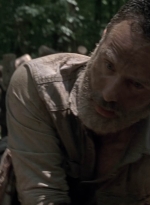 twd905_1599.jpg