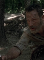 twd905_1637.jpg