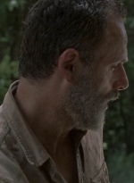 twd905_1705.jpg