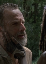 twd905_1773.jpg