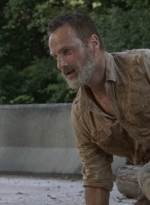 twd905_1815.jpg