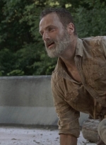 twd905_1816.jpg