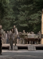 twd905_1905.jpg