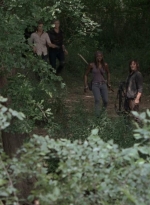 twd905_1913.jpg