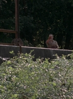 twd905_1940.jpg