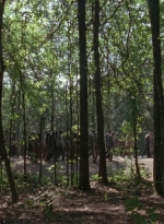 twd905_1967.jpg