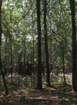 twd905_1968.jpg