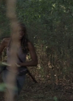 twd905_1983.jpg