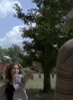 twd905_2226.jpg