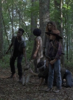 twd906_0271.jpg