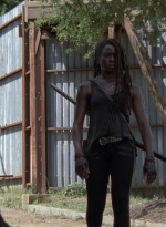 twd906_0604.jpg