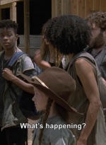 twd906_2353.jpg