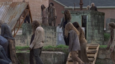 twd907_1771.jpg