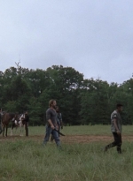 twd907_0533.jpg