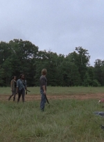 twd907_0537.jpg