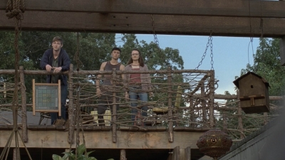 twd908_1085.jpg