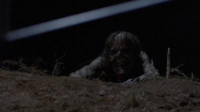 twd908_1487.jpg