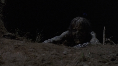 twd908_1489.jpg