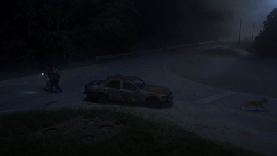 twd908_1633.jpg