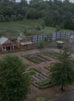 twd908_0080.jpg