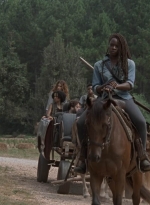 twd908_0313.jpg