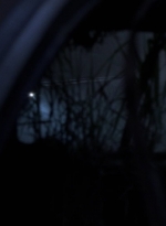 twd908_1559.jpg