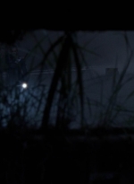 twd908_1560.jpg