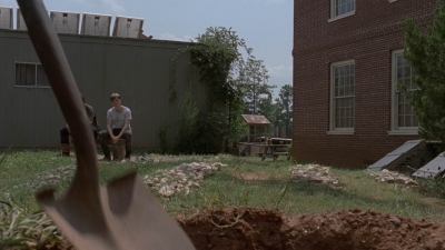 twd909_1482.jpg