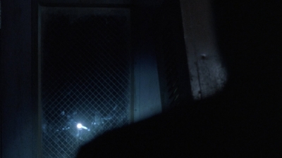 twd909_1586.jpg